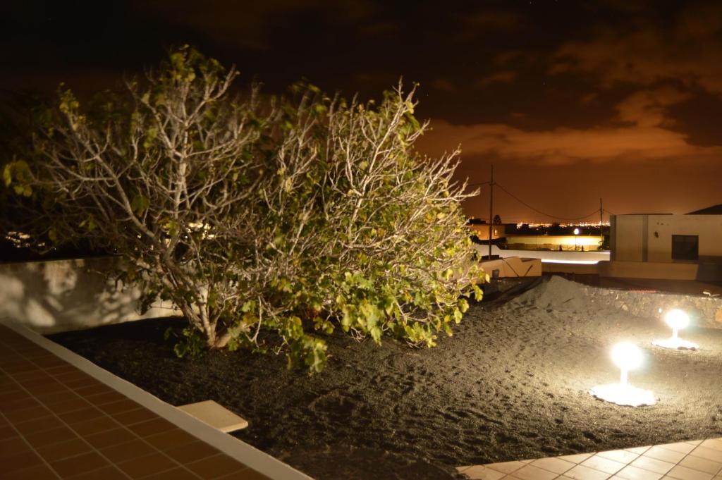 casa alba nazaret lanzarote patio