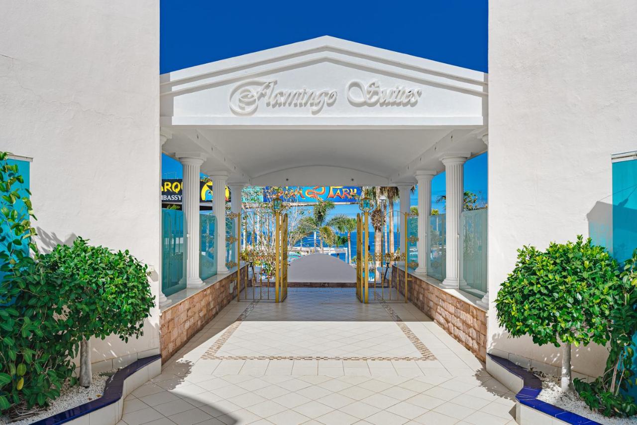 flamingo suites adeje tenerife entrance