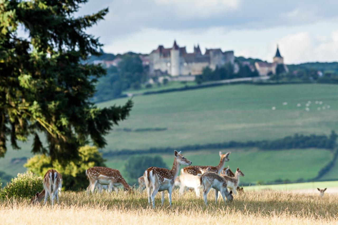 hotel château sainte sabine burgund animals