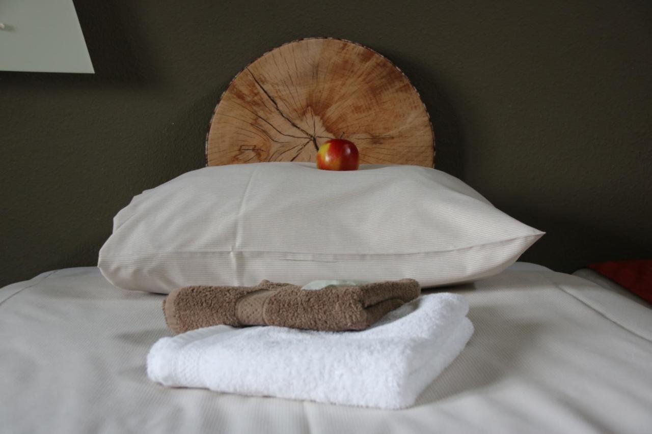 hotel landhotel diever diever drenthe pillow