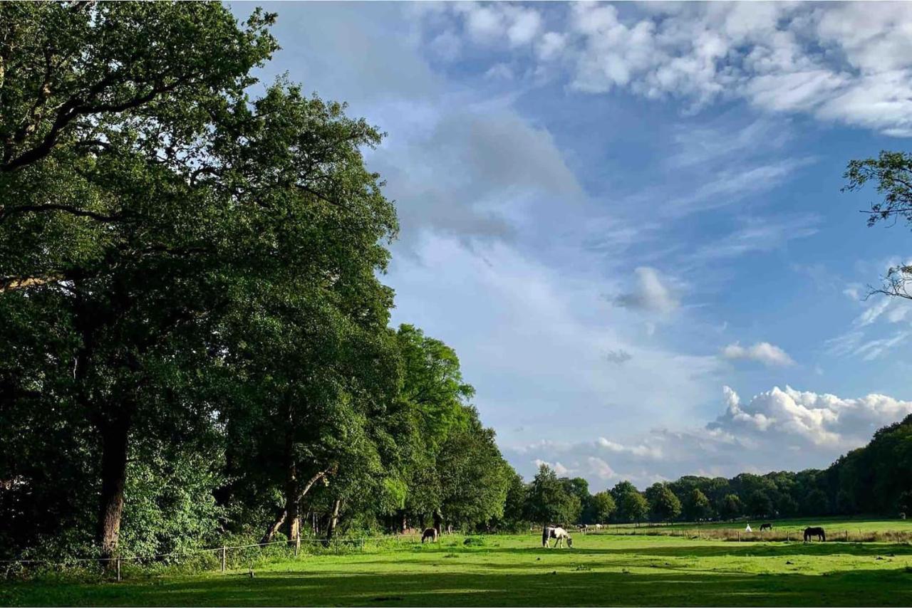 zonnebos otterlo veluwe fresh air