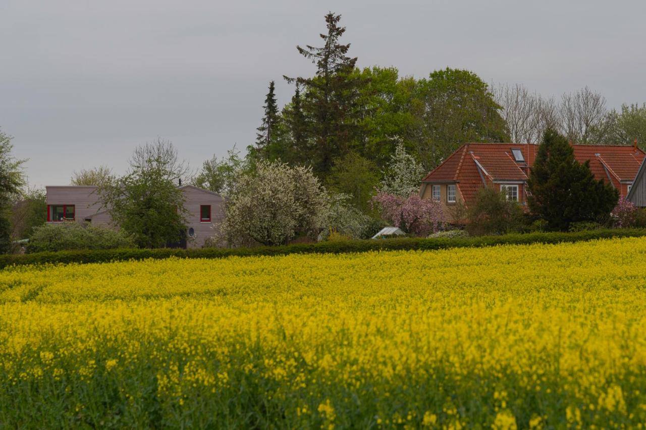 Künstlerhaus schleswig holstein