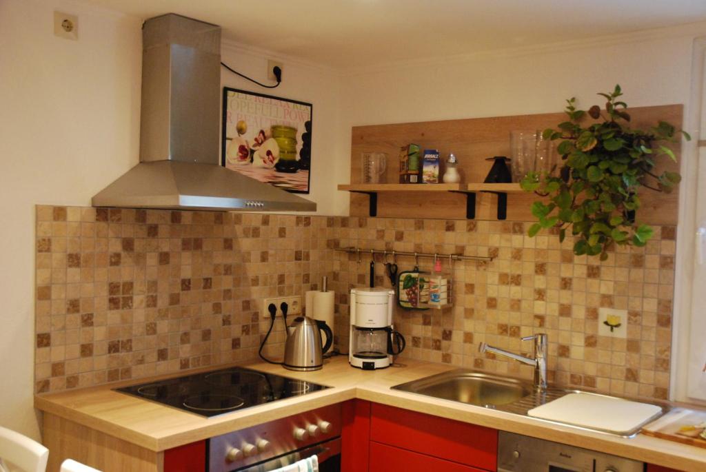 apartments am berggarten heidelberg kitchen