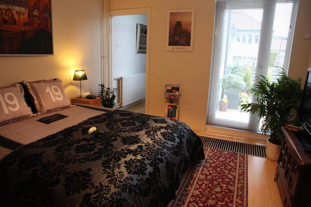 antonius bed and breakfast arnheim indoor