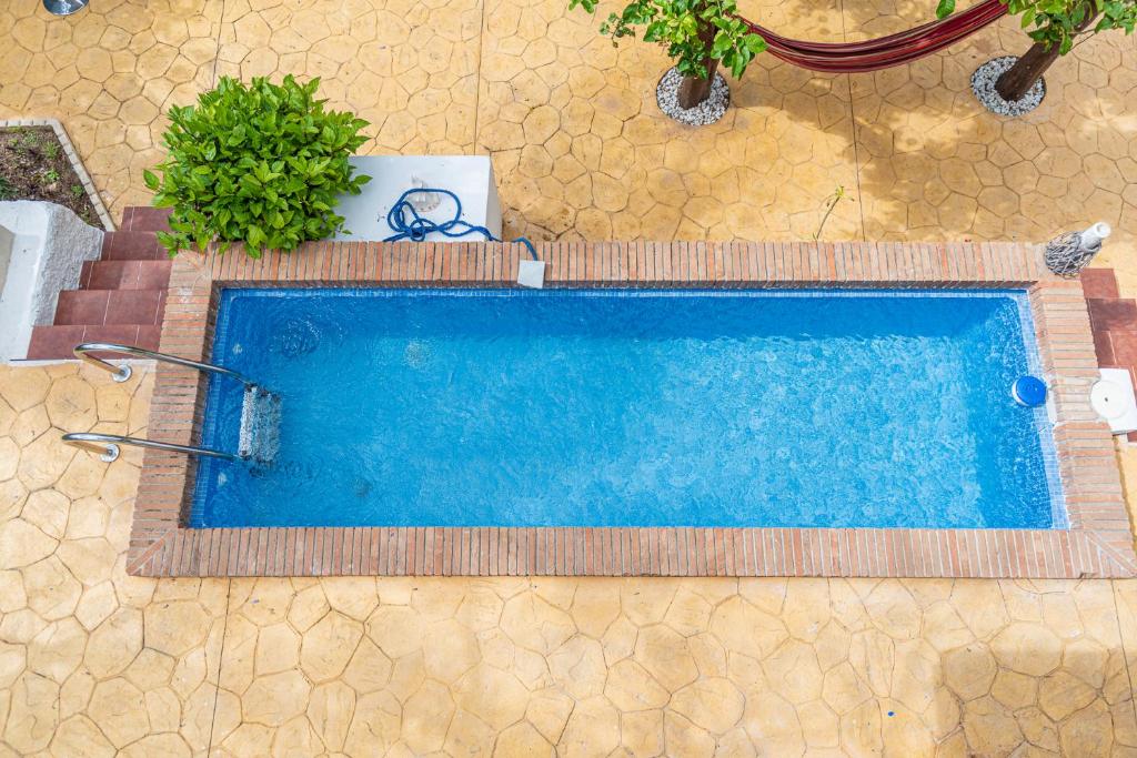 hotel blue castle malaga pool