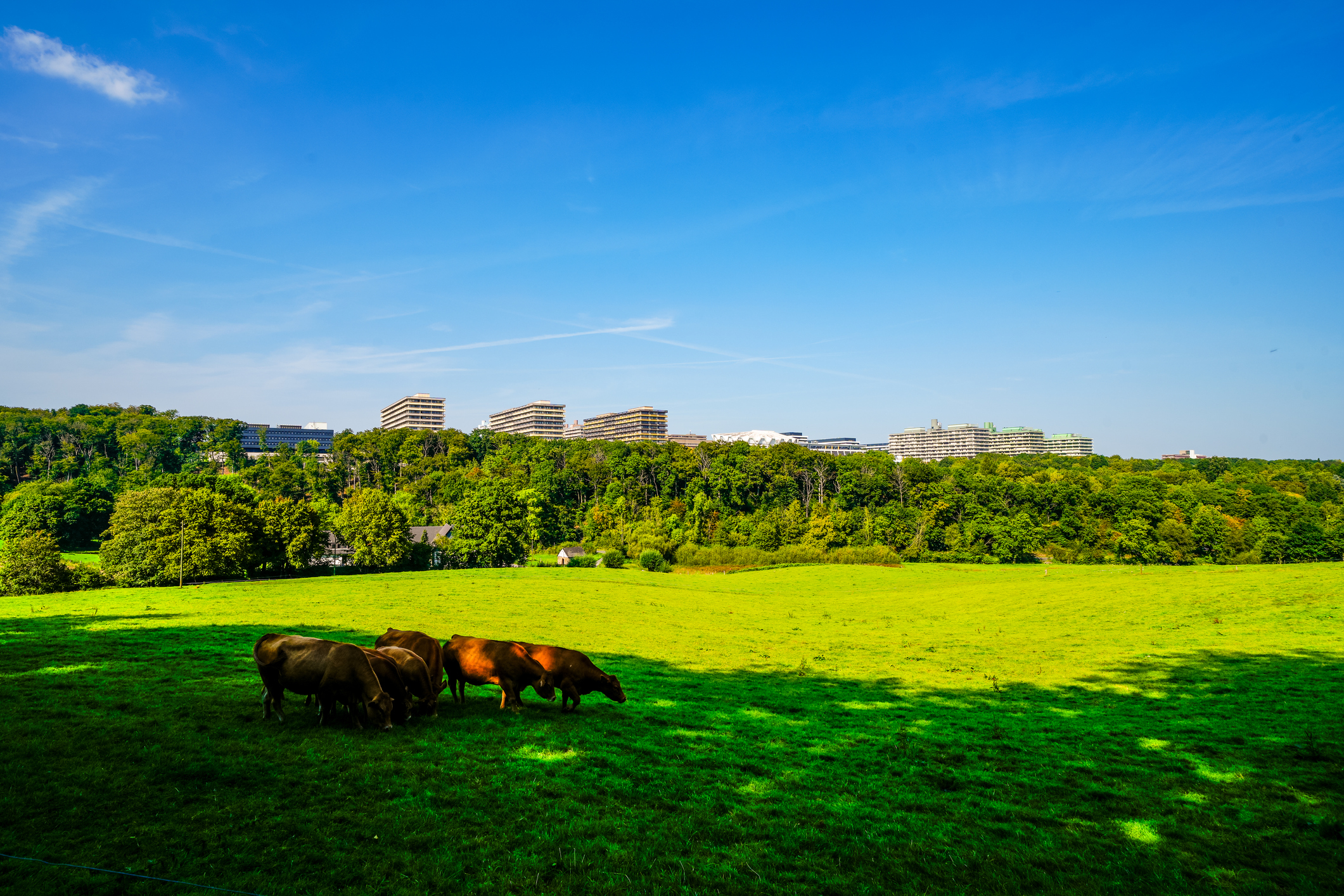 hotels in bochum